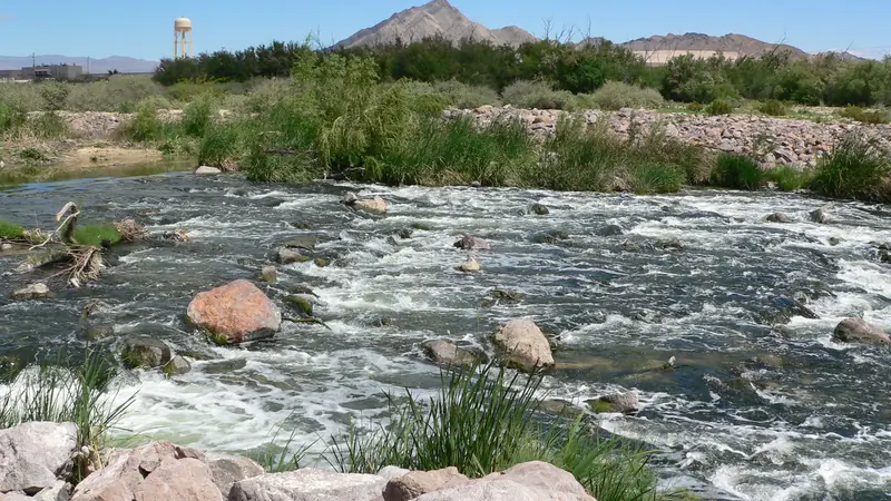 Water flowing over rocks and reeds along the Las Vegas Wash with a desert hill in the distance