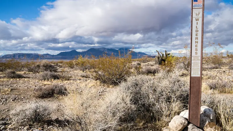 Desert scrub and mountains under clouds in the Pahrump Valley Wilderness